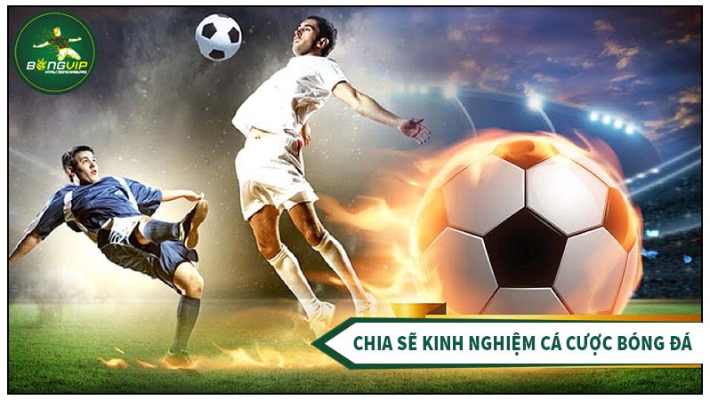 Góc chia sẻ kinh nghiệm cá cược bóng đá thành công