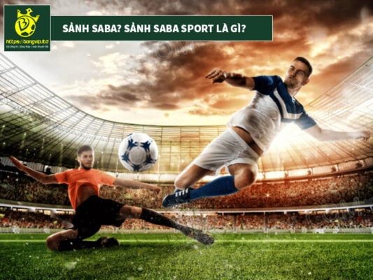 Sảnh Saba hay sảnh bóng Saba sport là gì?